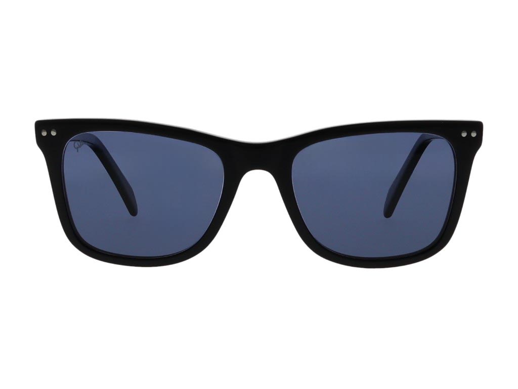 VG-733 SUNGLASSES