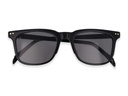 VG-703 SUNGLASSES