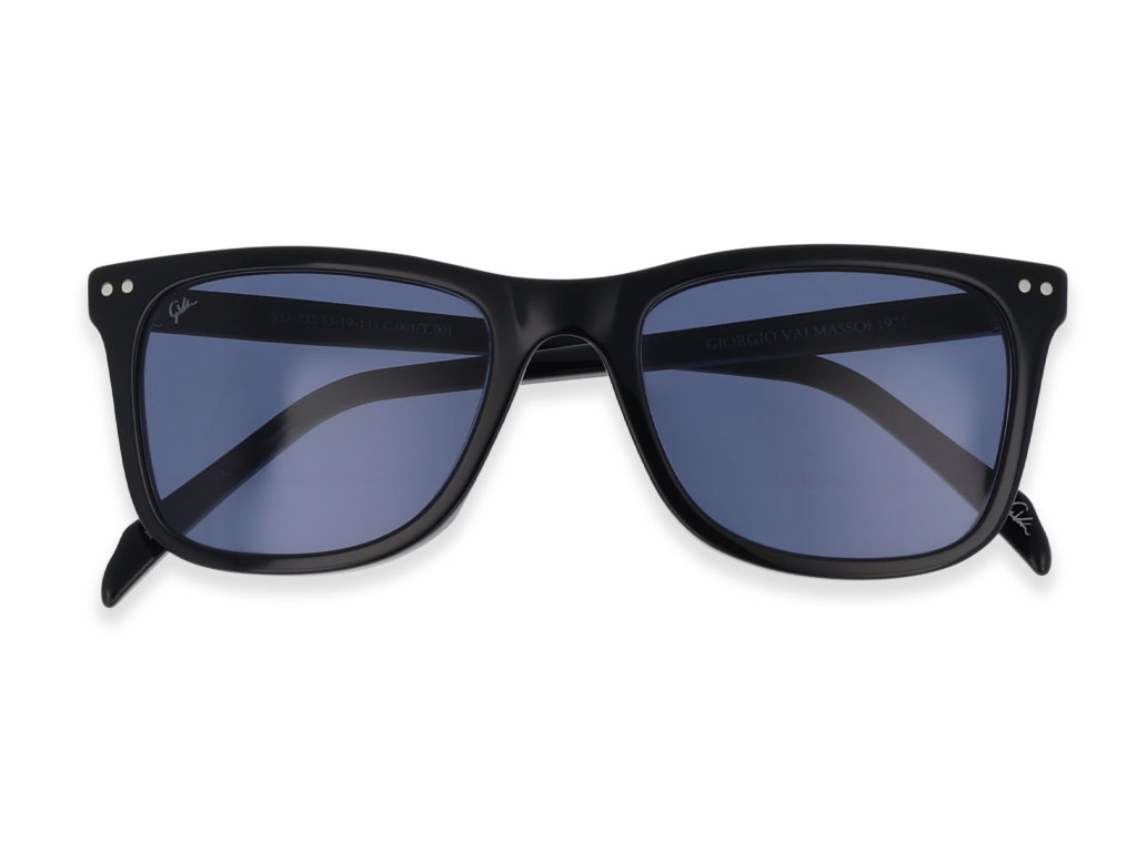 VG-733 SUNGLASSES