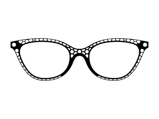 [OV0496CUSTOM] OV-496 CUSTOM