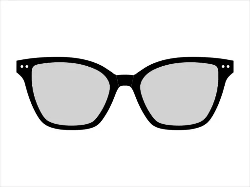 [VG760CUSTSUN] VG-760 - Custom SUNGLASSES